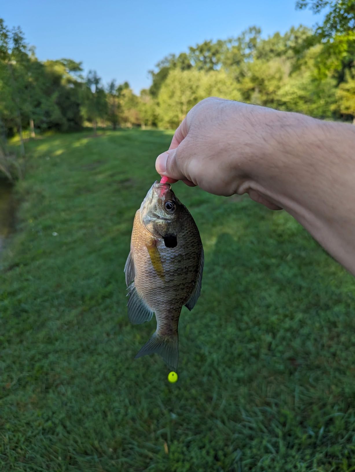 Trout Magnet E-Z Trout Floats - 36 Easy to Adjust Slotted Fishing Bobbers - Freshwater and Saltwater Teardrop Fishing Strike Indicators - Made in The USA by Leland's Lures - Ultra-Responsive Floats customer photo 2