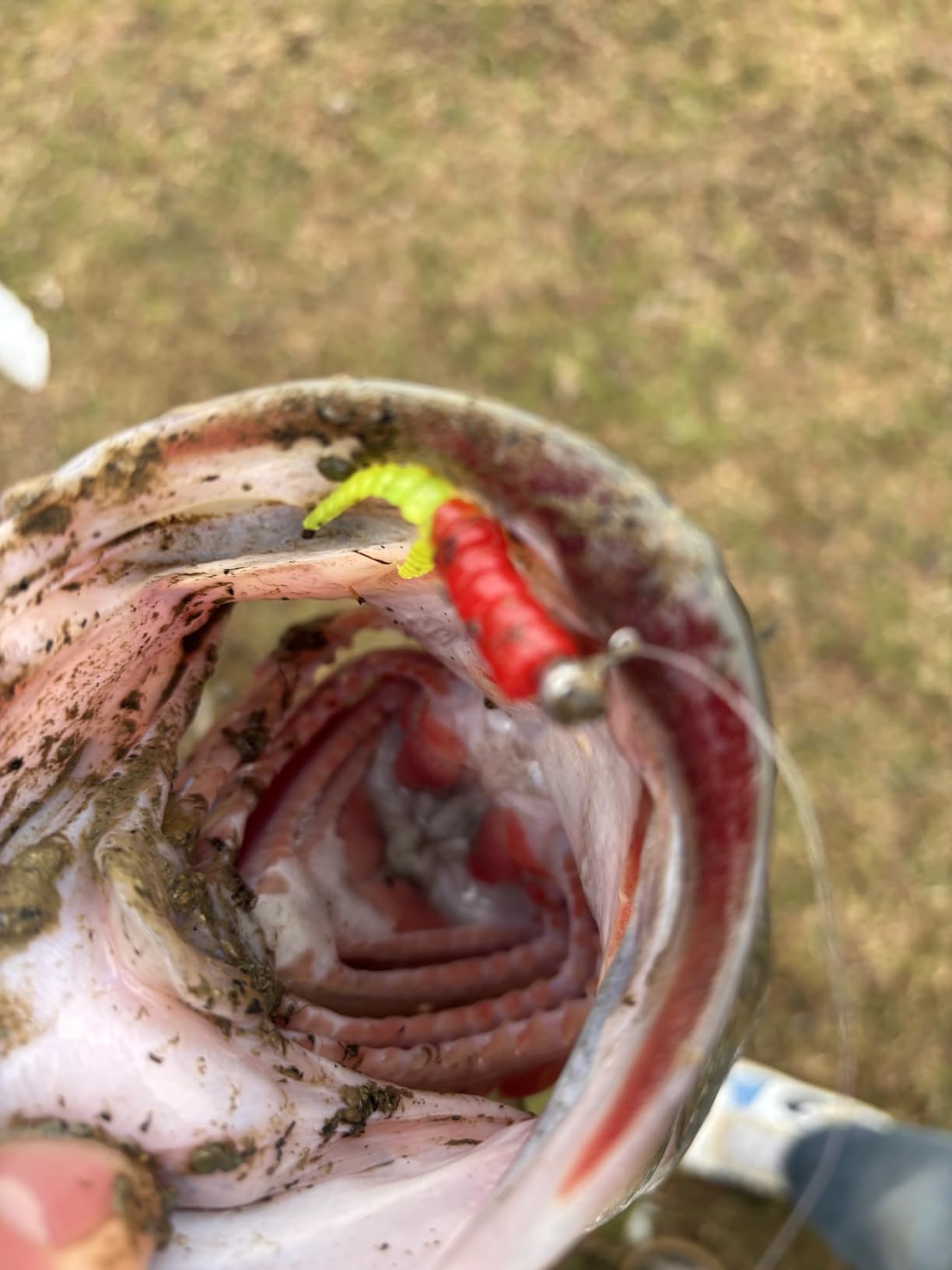 Leland's Lures Crappie Magnet Best of the Best Kit, Fishing Equipment and Accessories, Fishing Lures, 96 Bodies, 15 Double Cross Jig Heads, 4 E-Z Floats customer photo 2