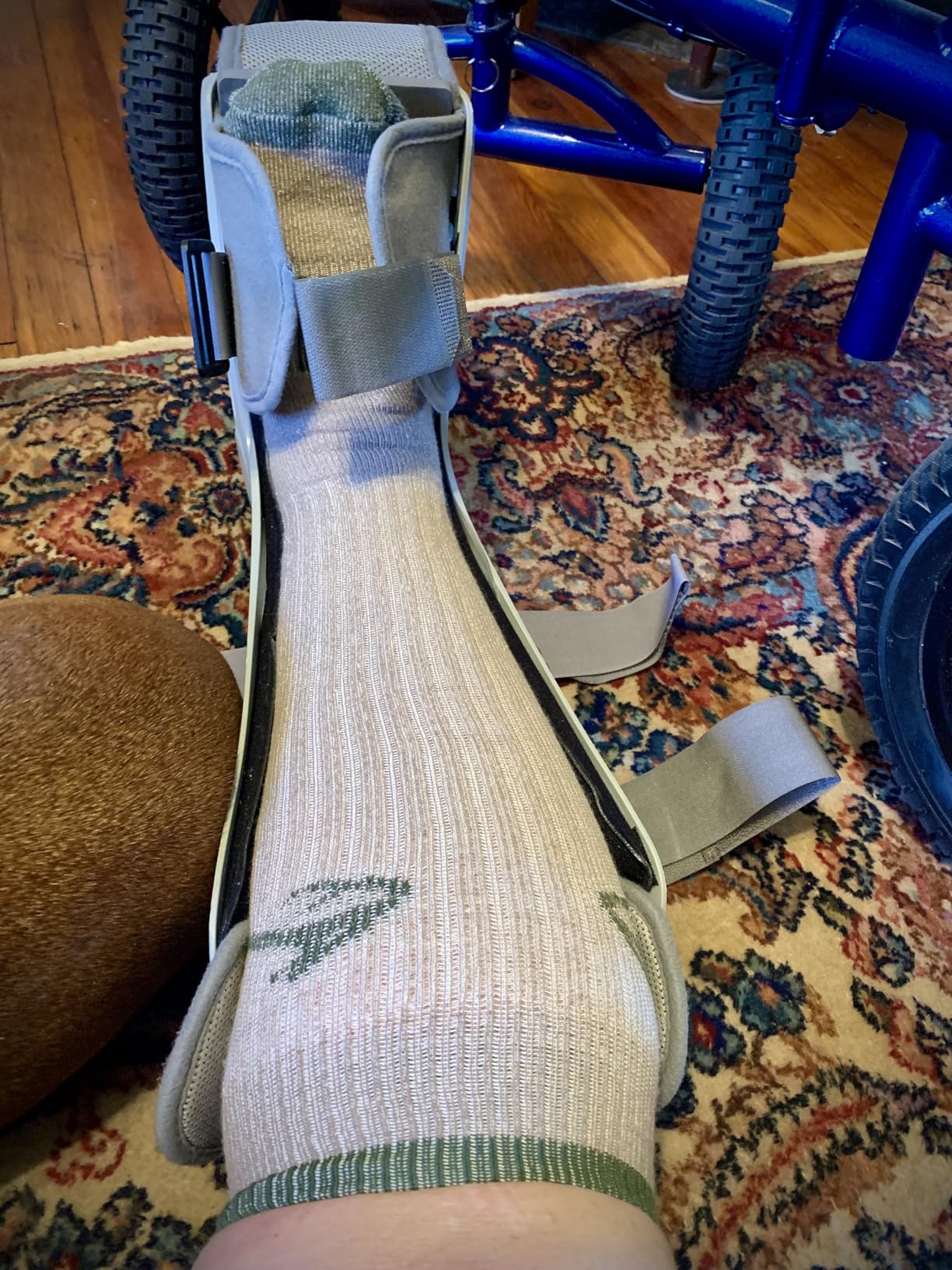Heavyweight Merino Wool Tall All Season Boot Socks 1 Pair customer photo 1