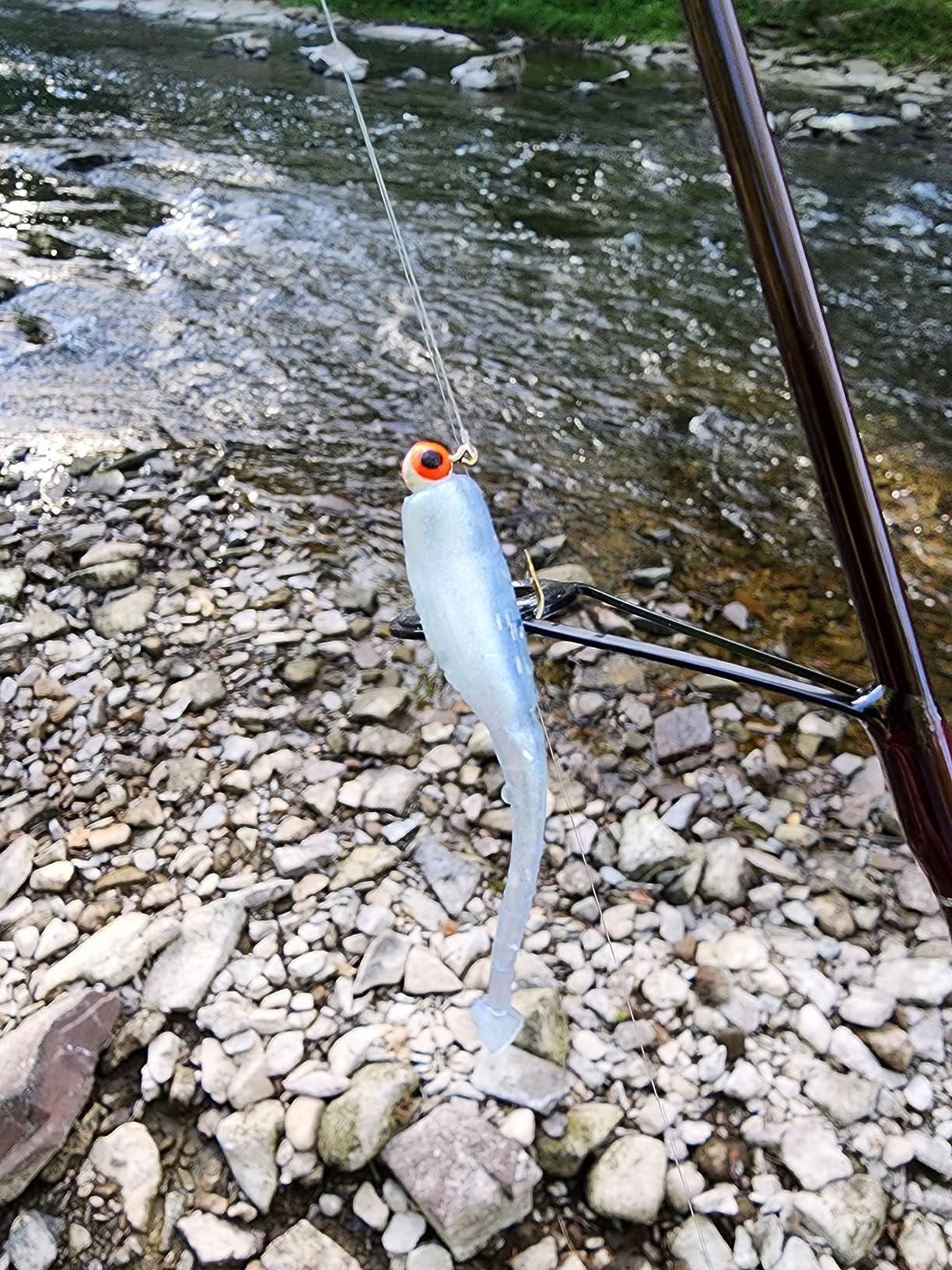 Bobby Garland Baby Shad customer photo 2