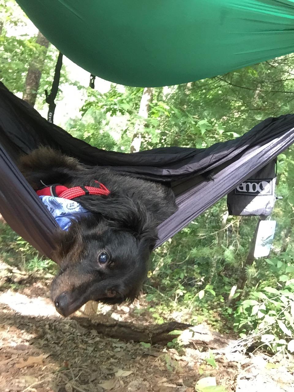 ENO Eagles Nest Outfitters Underbelly Gear Sling, Hammock Accessory, Charcoal customer photo 2