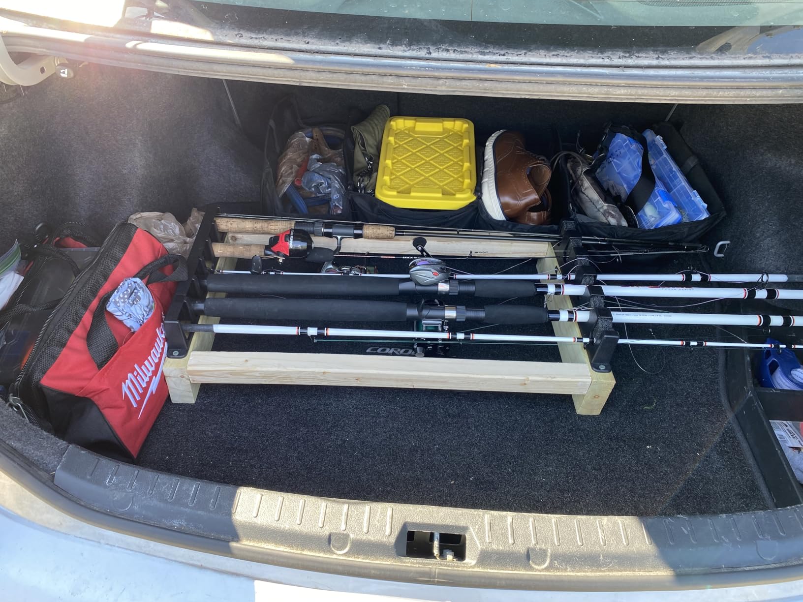 Berkley Big Game Casting Fishing Rod customer photo 1