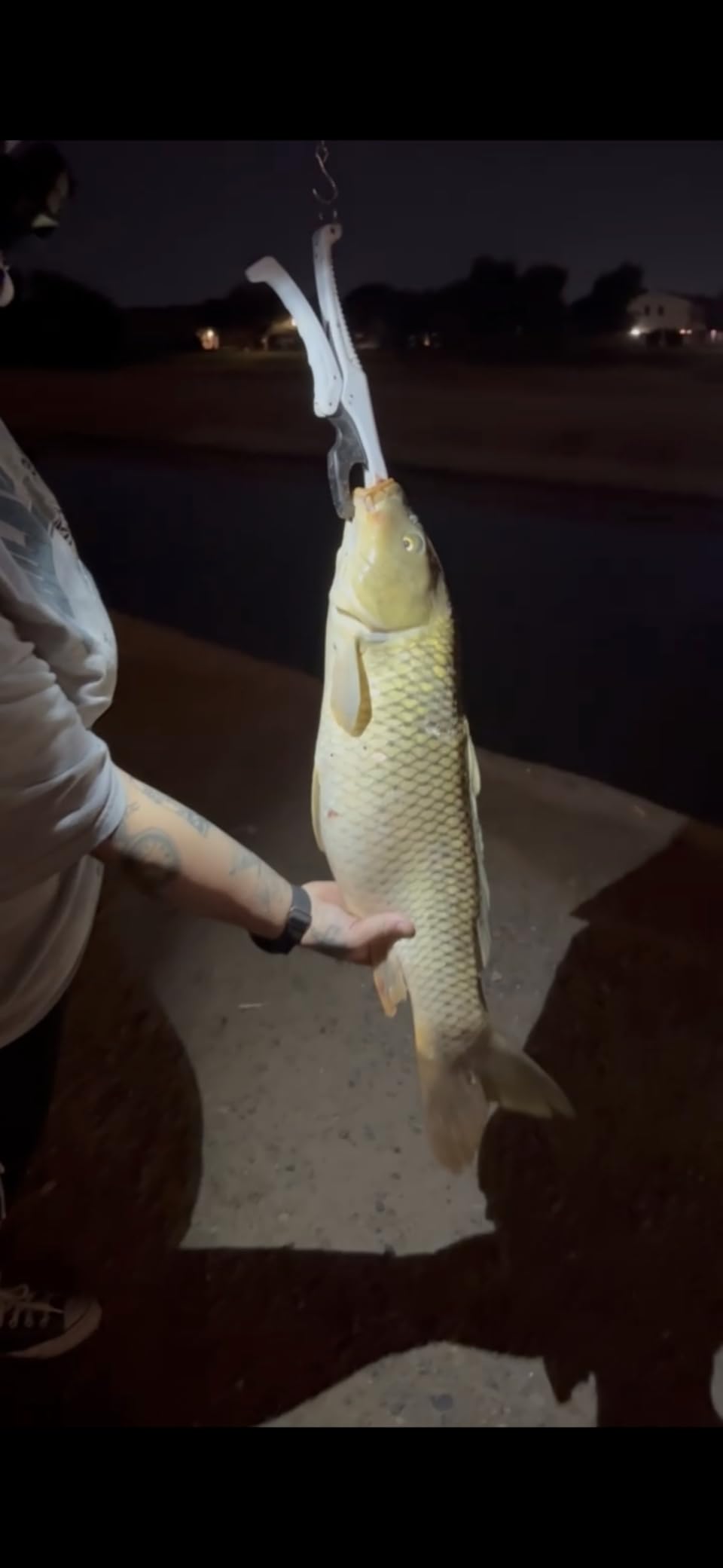 Rapala 9