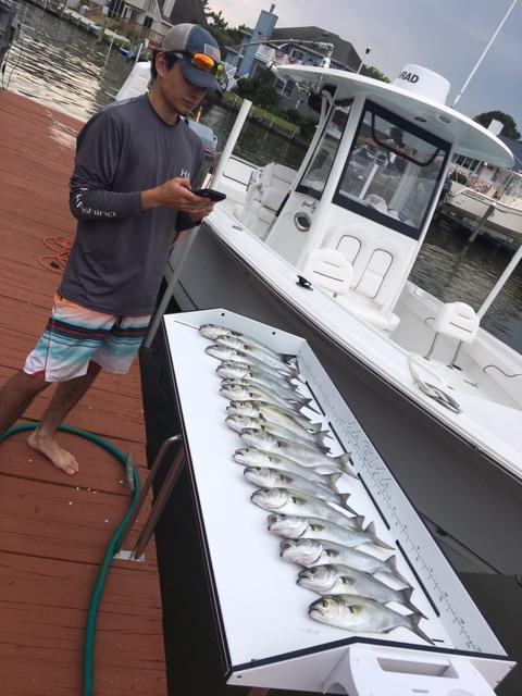 Magma Tournament Series Fish Cleaning Table - UV-Stabilized High-Density Polyethylene - 304 Stainless Steel Frame - Ruler, Knife Holders - Ideal Boat/Fishing Accessory - T10-449B customer photo 2