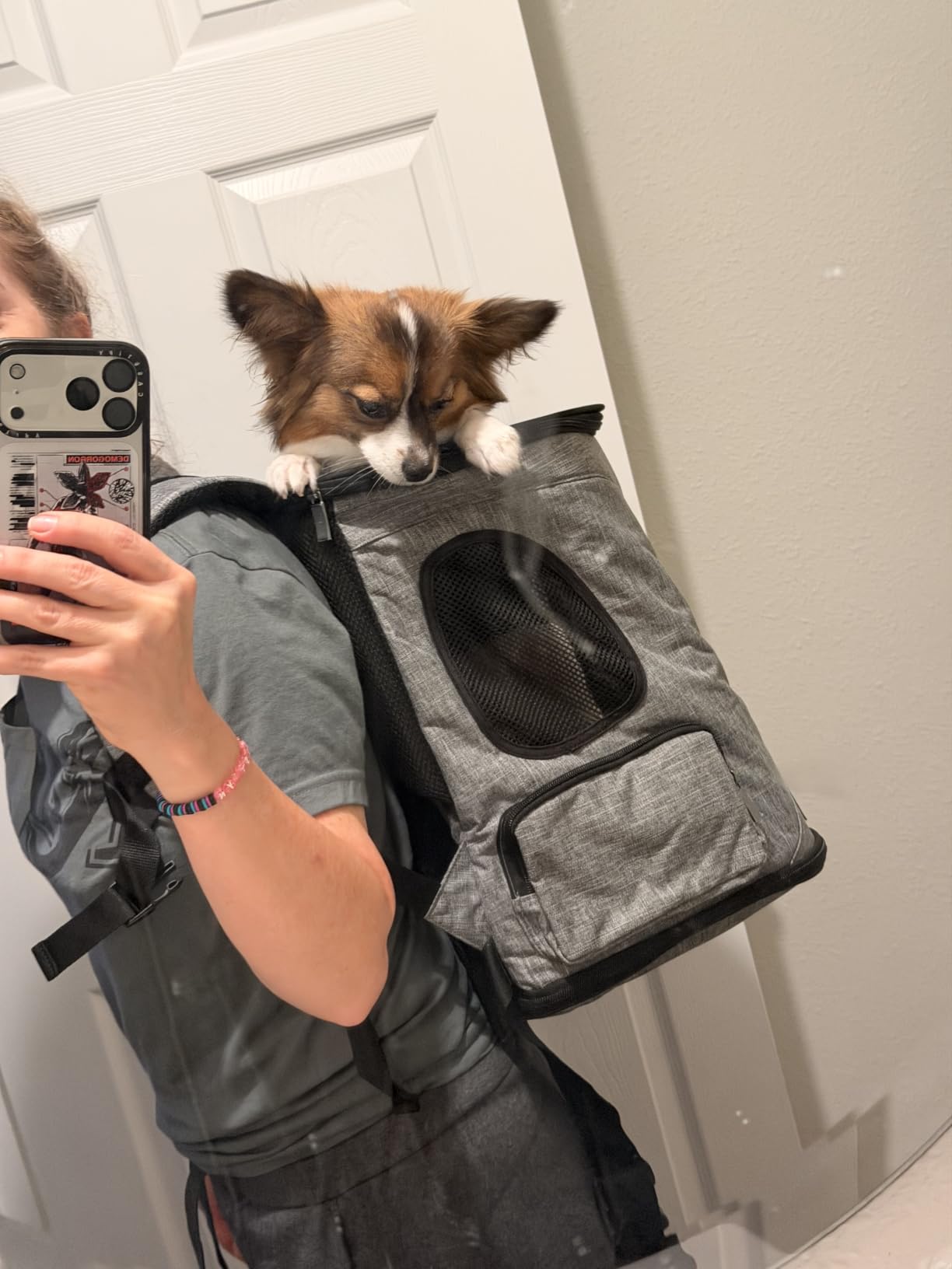 Petsfit Pet Backpack Carrier Easy-Fit Dog Travel Backpack Carrier for Hiking Walking Cycling Suitable for Small Medium Dogs Cats and Rabbits up to 22 Pounds, Green customer photo 1