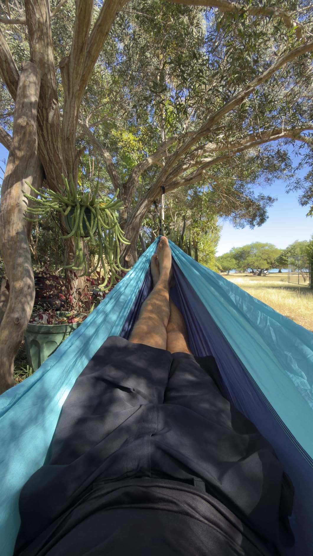 Wise Owl Outfitters Camping Hammock - up to 500lbs Portable Hammock with Tree Straps - Travel, Backpacking, Hiking, Outdoors Camping Gear - Single or Double customer photo 1