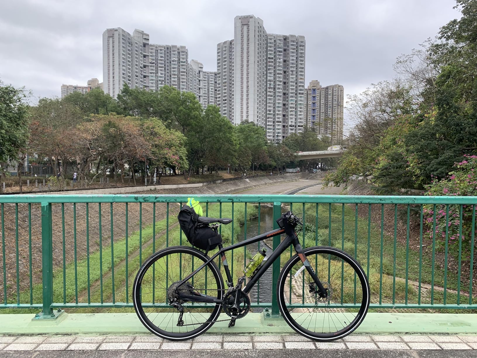 Topeak BackLoader Bike Bag customer photo 2