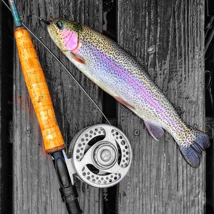 Maxcatch 3-12wt Premier Fly Fishing Rod-IM8 Carbon Blank for High Performance, with AA Cork Grip Hard Chromed Guides customer photo 2