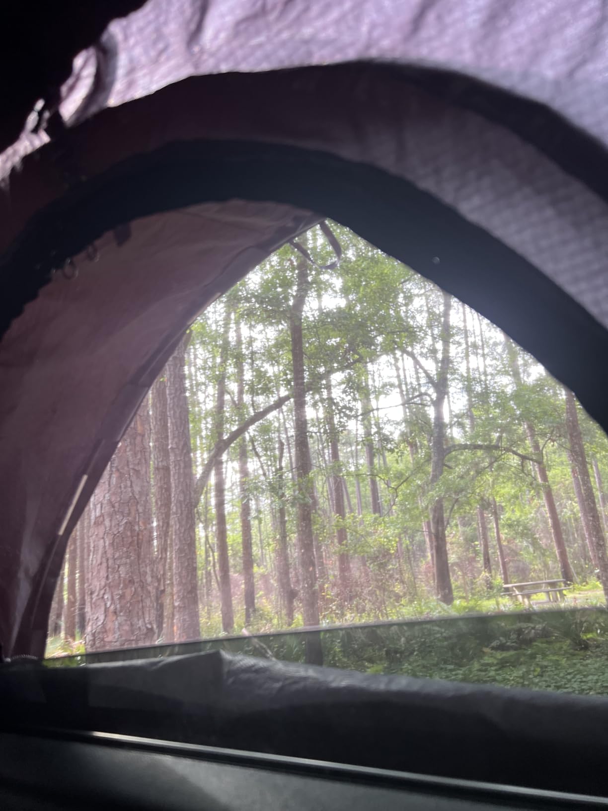 ROADIE - The OVERNIGHTER SUV Window Tent with Bug Screen and Retractable Awning - Great for Camping in an SUV. (Patented) customer photo 1