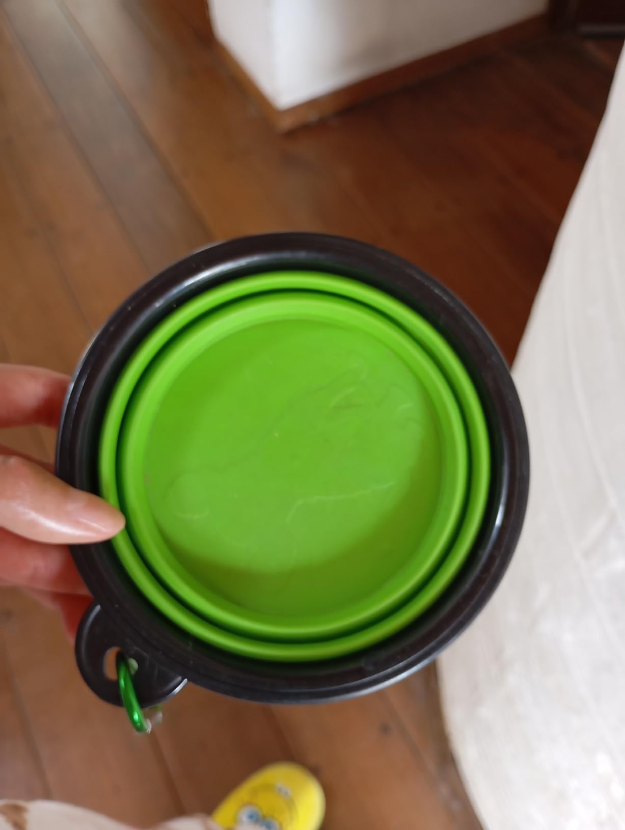 2-Pack Extra Large Size Collapsible Dog Bowl, Foldable Bowls for Dog | Expandable Cup Dish for Pet Cat Food Water Feeding Portable Travel Bowl Blue and Green customer photo 2