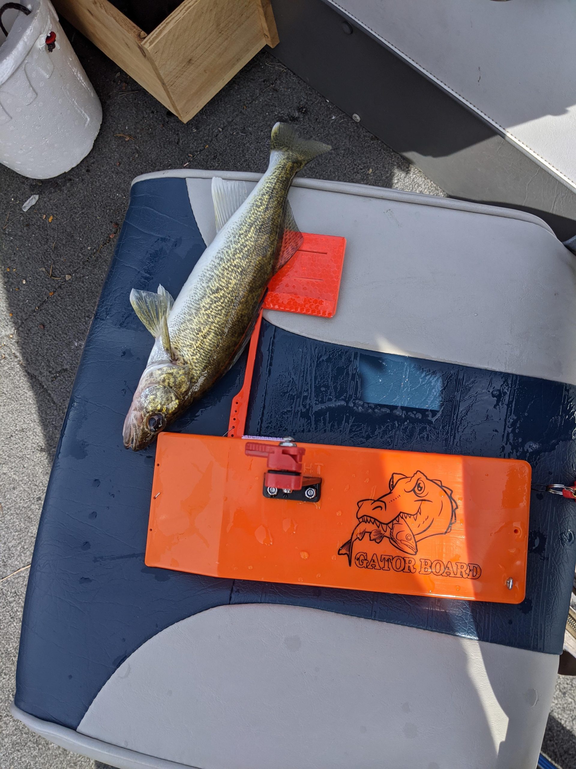 Gator Board Planer Board customer photo 1