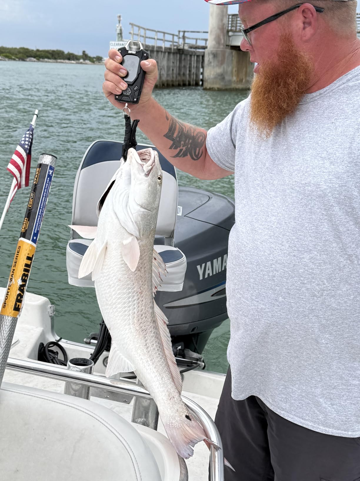 Rapala Digital Scale, Rapala High Contrast, 50 lbs customer photo 1