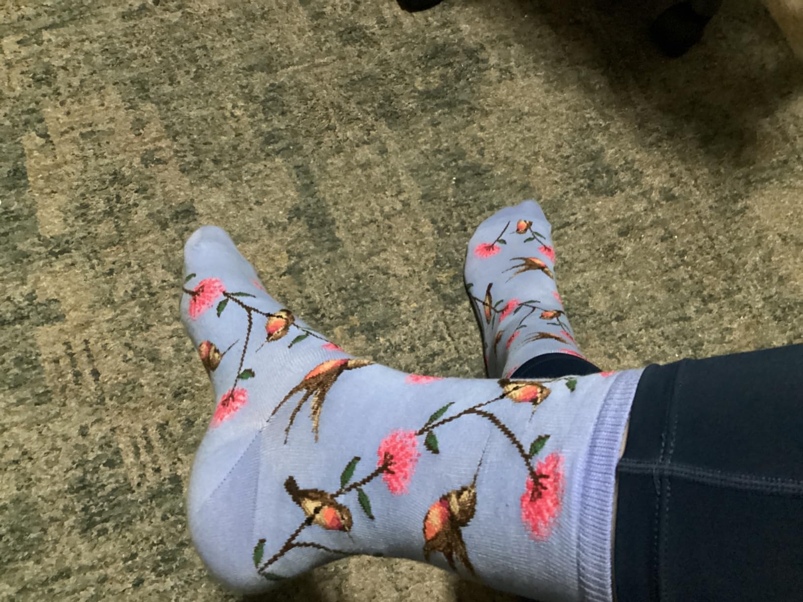 Hot Sox Women's Fun Nature & Outdoors Crew Socks customer photo 2