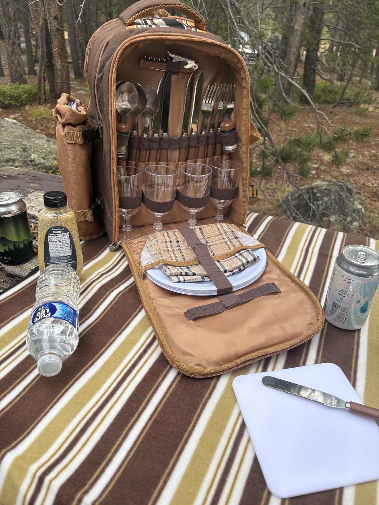 Apollo Walker Picnic Backpack Bag for 4 Person with Cooler Compartment,Wine Bag, Picnic Blanket(45