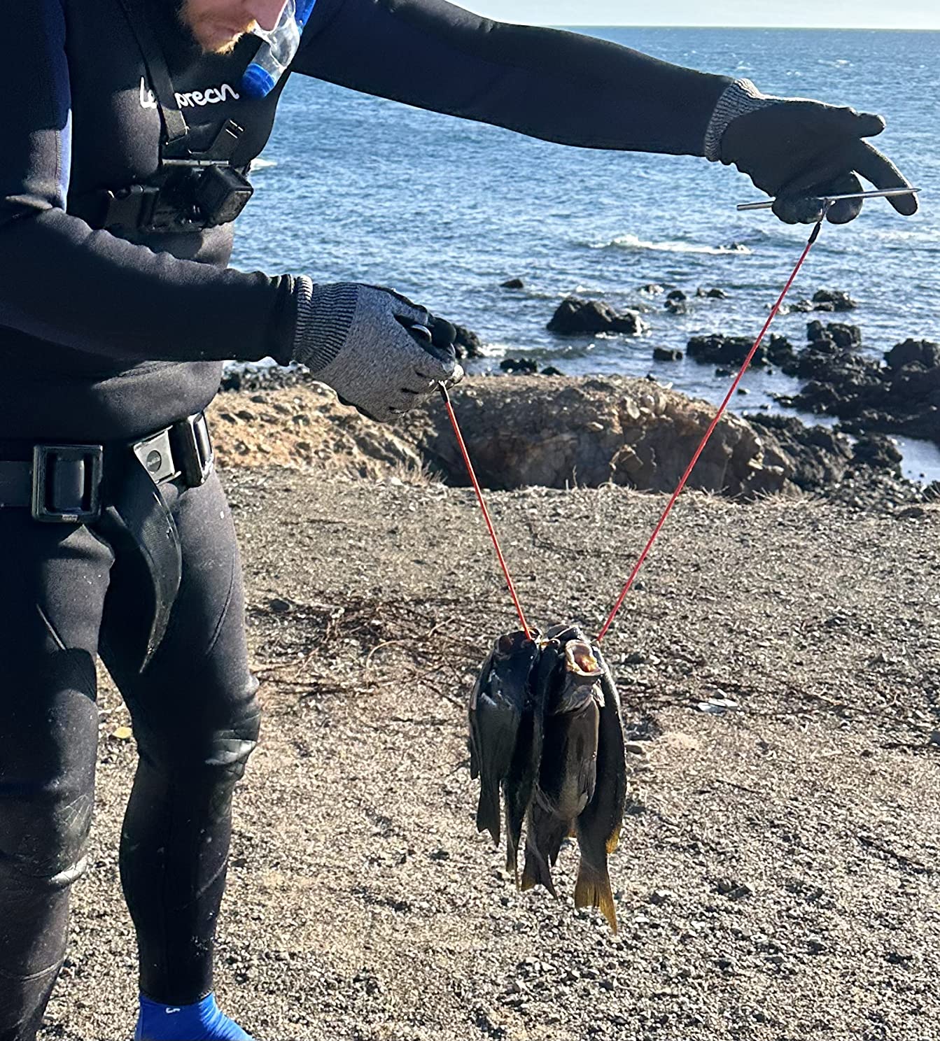 Fish Stringer for Spearfishing with Coated Stainless Steel Cable and Heavy Duty Carabiner (Float Fish Stringer) customer photo 1