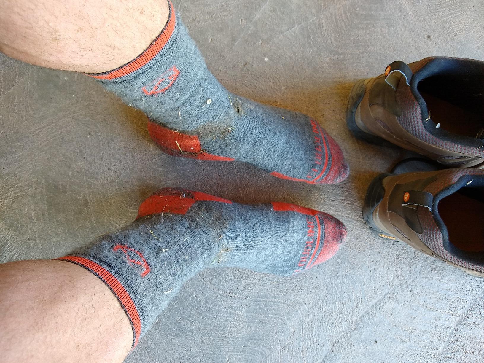 CloudLine Merino Wool Hiking Socks for Men & Women, Cushioned, Anti-Blister, Moisture Wicking, Made in USA customer photo 1