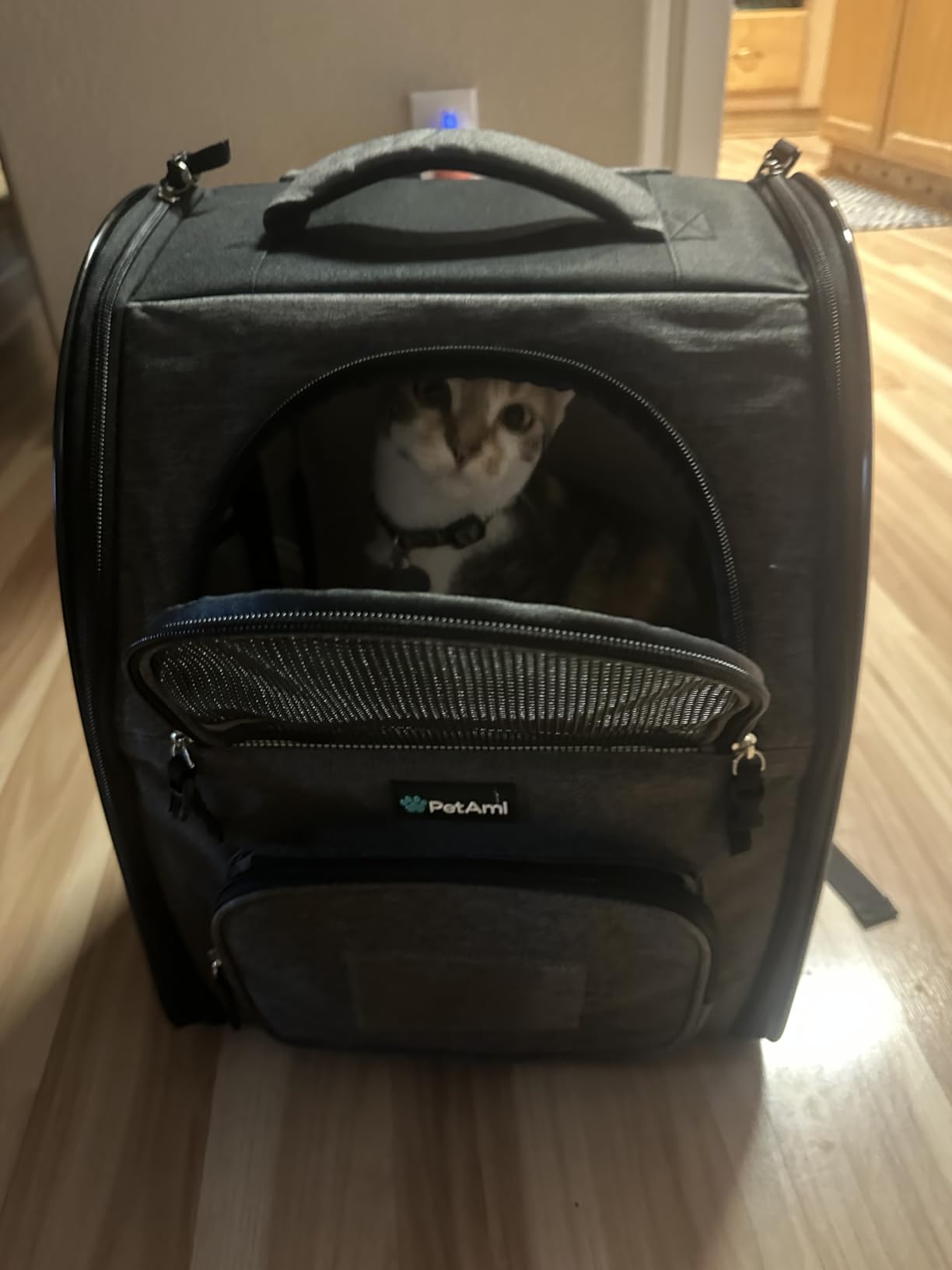 PetAmi Dog Backpack Carrier Airline Approved Cat Pet Puppy Bag, Grey | Ideal for Small Medium Large Pet up to 18 lb, 2 Side Entry Structured No-Collapse Frame, Ventilated Bookbag for Hiking Travel customer photo 1