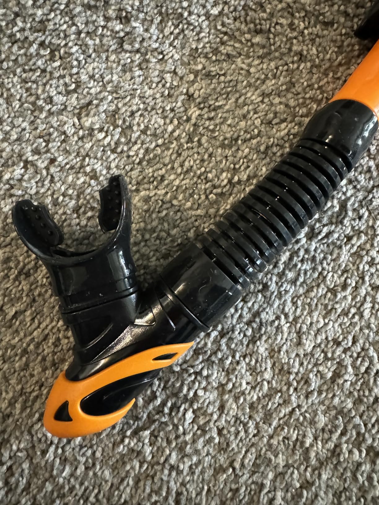 Aegend Diving Dry Snorkel for Adult & Youth - Snorkeling Gear with Top Dry Valve, Perfect for Snorkeling, Freediving, Swimming and Scuba Diving customer photo 1