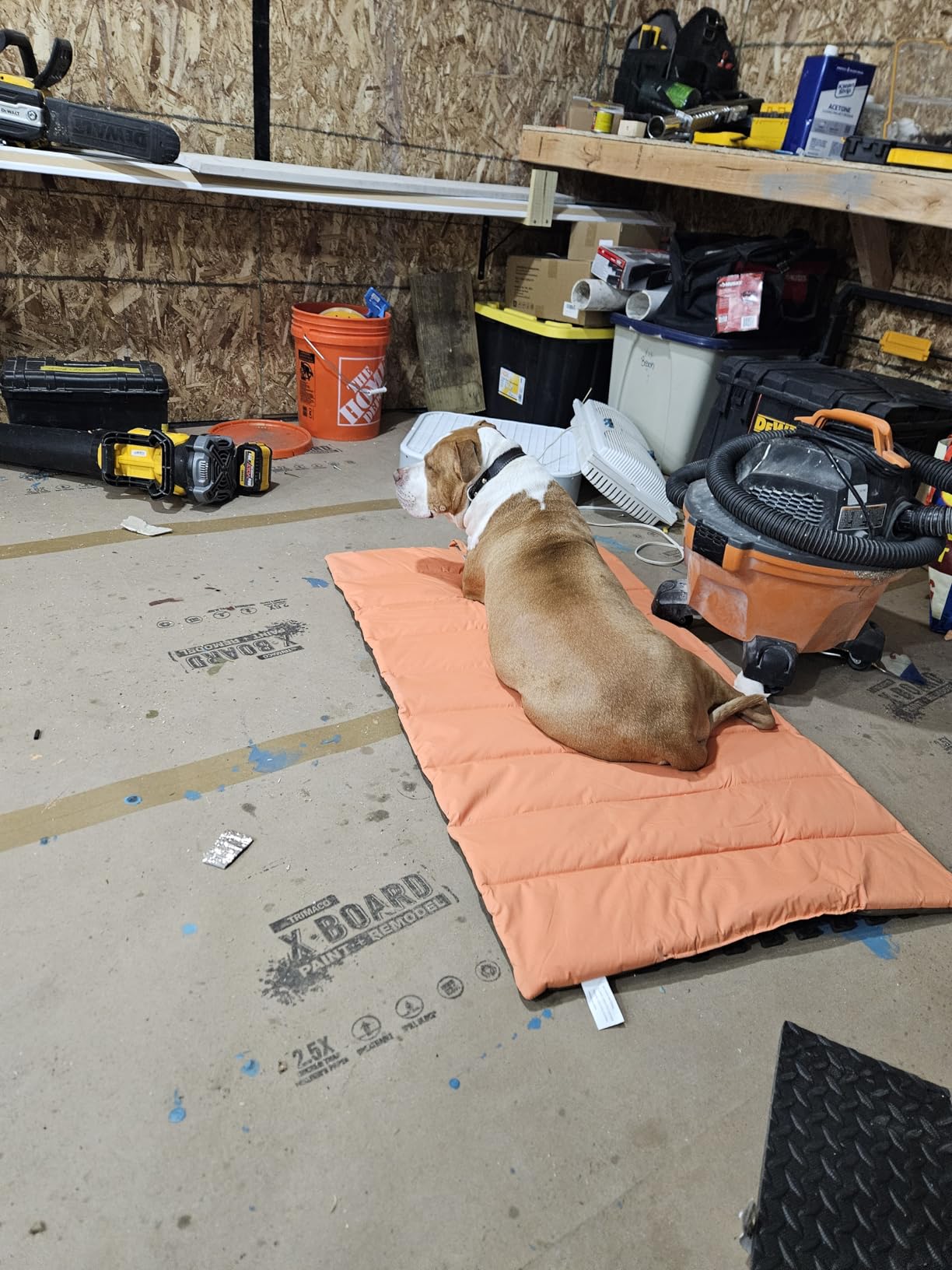 Outdoor Dog Bed, Waterproof, Washable, Large Size, Durable, Water Resistant, Portable and Camping Travel Pet Mat customer photo 2