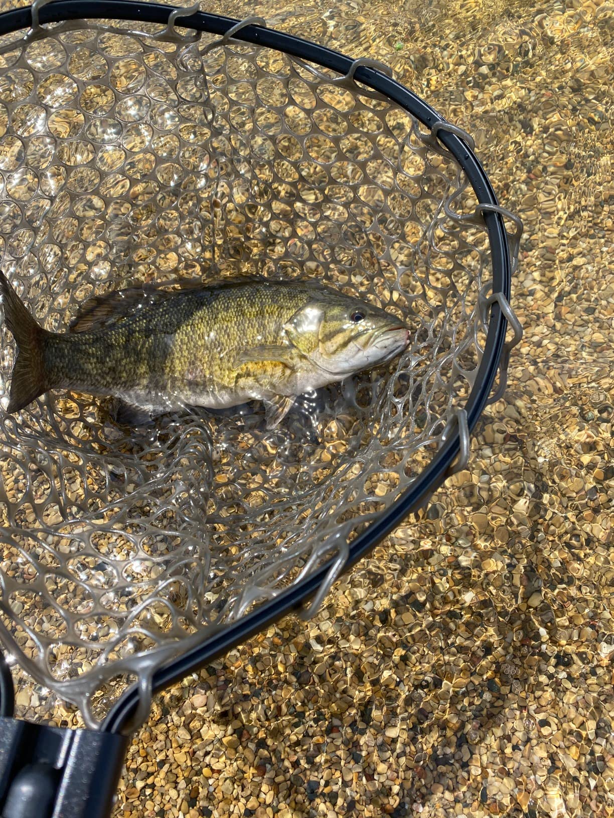 PLUSINNO Fly Fishing Net, Bass Trout Landing Net, Folding Fishing Nets Fresh Water, Safe Fish Catching or Releasing customer photo 1