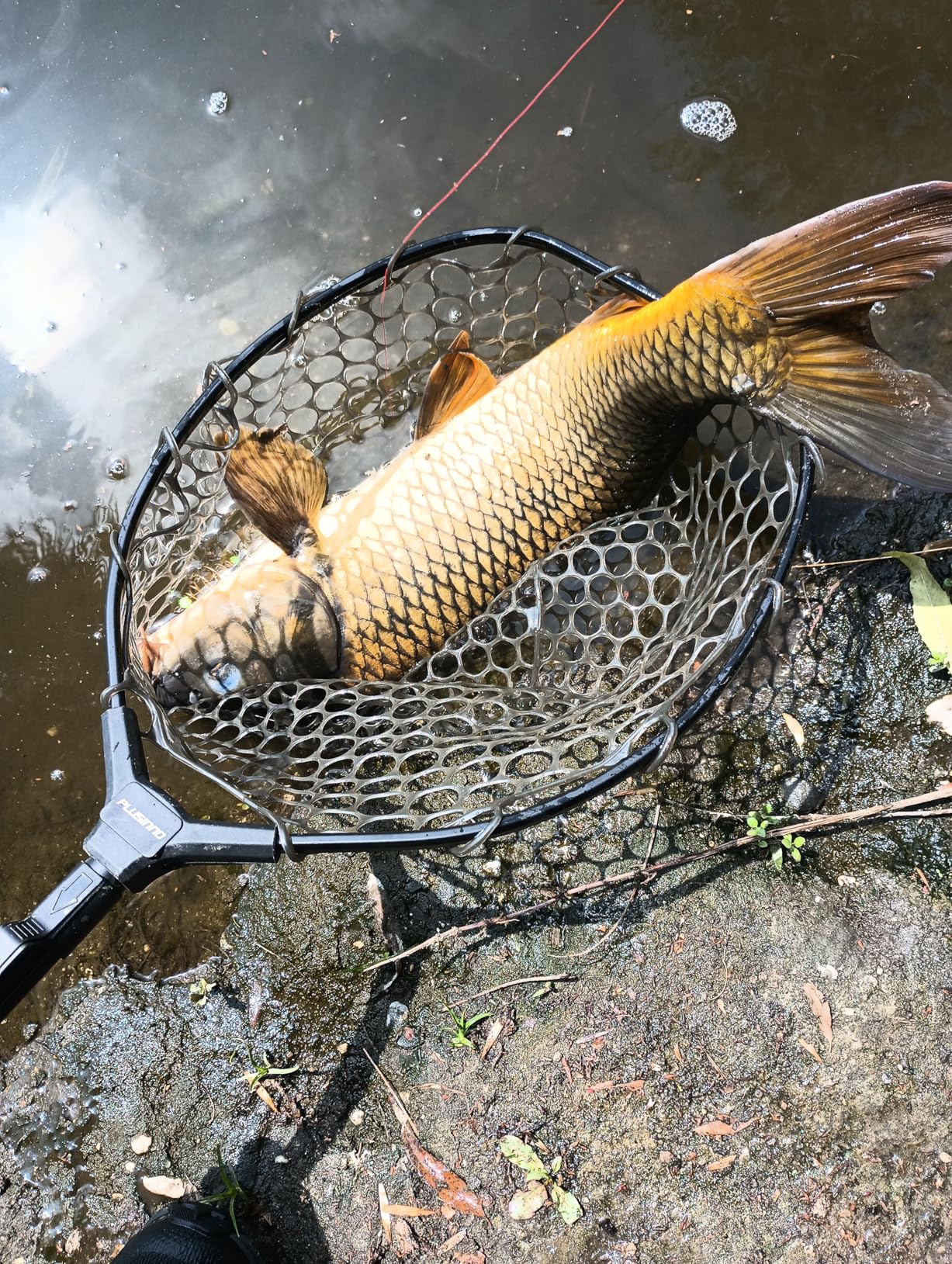 PLUSINNO Fly Fishing Net, Bass Trout Landing Net, Folding Fishing Nets Fresh Water, Safe Fish Catching or Releasing customer photo 2