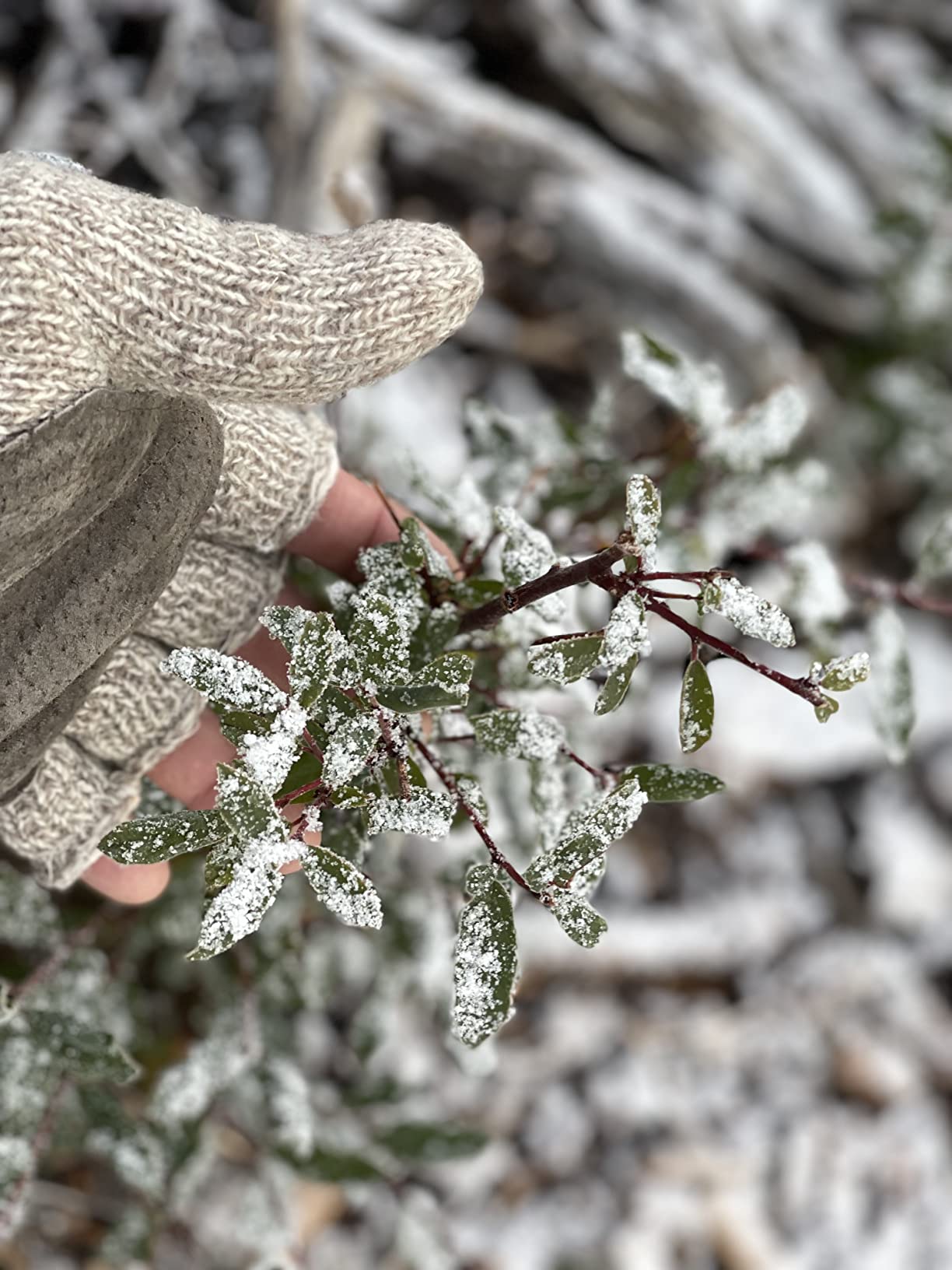RefrigiWear Insulated Ragg Wool Convertible Mitten, Fingerless Gloves customer photo 1