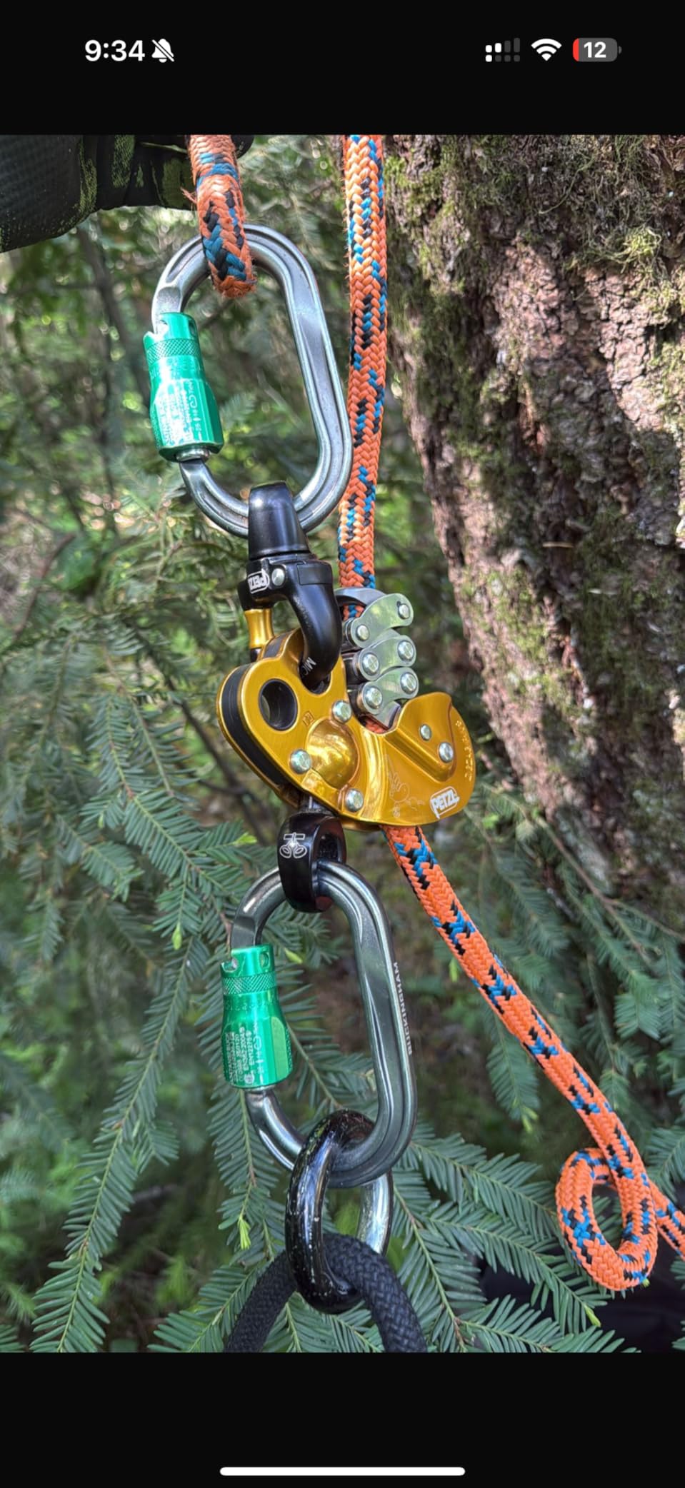 Petzl Zigzag Plus Descender for Arborists D022BA00 customer photo 1