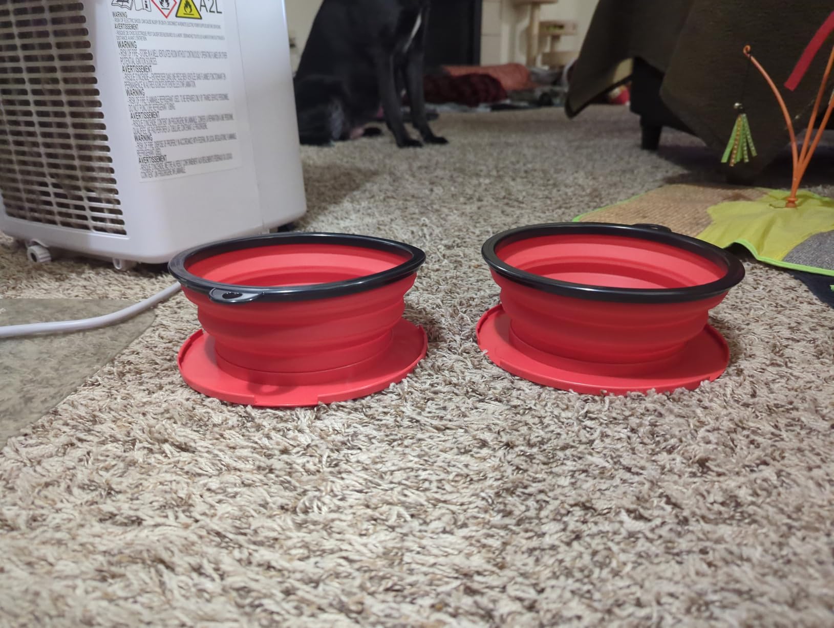 Tuff Pupper SuperBigSlurp Collapsible Dog Bowls, Extra Large Capacity, Portable, Food Safe, Odorless, Non-Toxic Silicone customer photo 1
