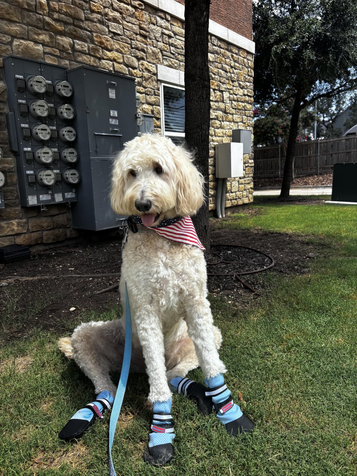 Bark Brite Lightweight Neoprene Paw Protector Dog Boots Designed for Comfort and Breathability in 5 Sizes customer photo 1