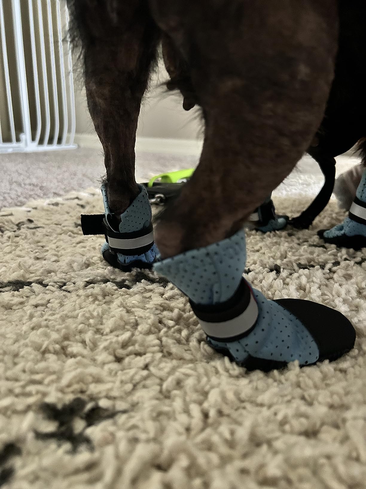 Bark Brite Lightweight Neoprene Paw Protector Dog Boots Designed for Comfort and Breathability in 5 Sizes customer photo 2