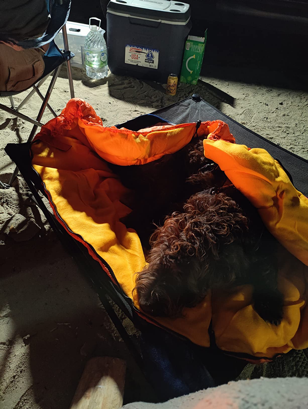 Lifeunion Dog Sleeping Bag with Storage Bag Waterproof Warm Packable Dog Bed for Travel Camping Hiking Backpacking customer photo 2