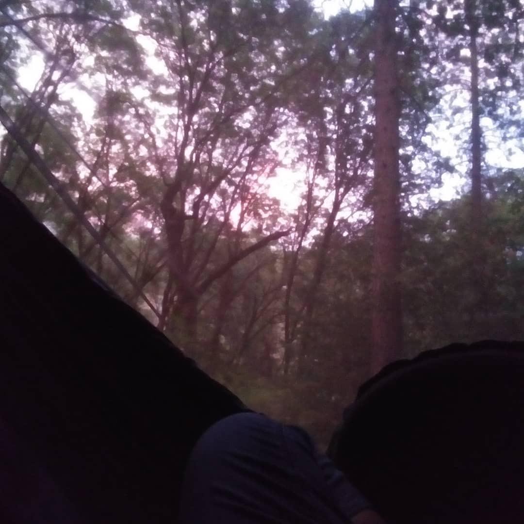 Gold Armour Camping Hammock - XL Double Hammock Portable Hammock Camping Accessories Gear for Outdoor Indoor with Tree Straps, USA Based Brand (Black and Purple) customer photo 2