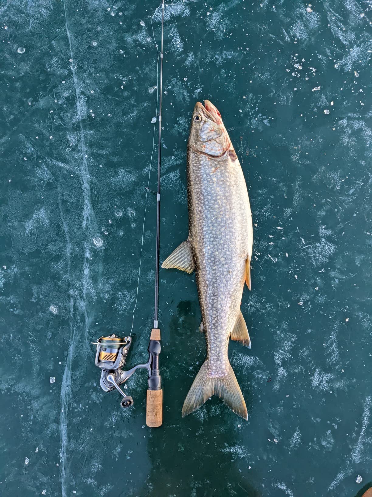 Bucktail Jigs 3 Pack - Hand-Tied Bucktail Hair Fishing Lures | Unique Gliding Head | Saltwater & Freshwater | Striper, Bass, Flounder, Walleye, Fluke | Multiple Weights Available customer photo 1