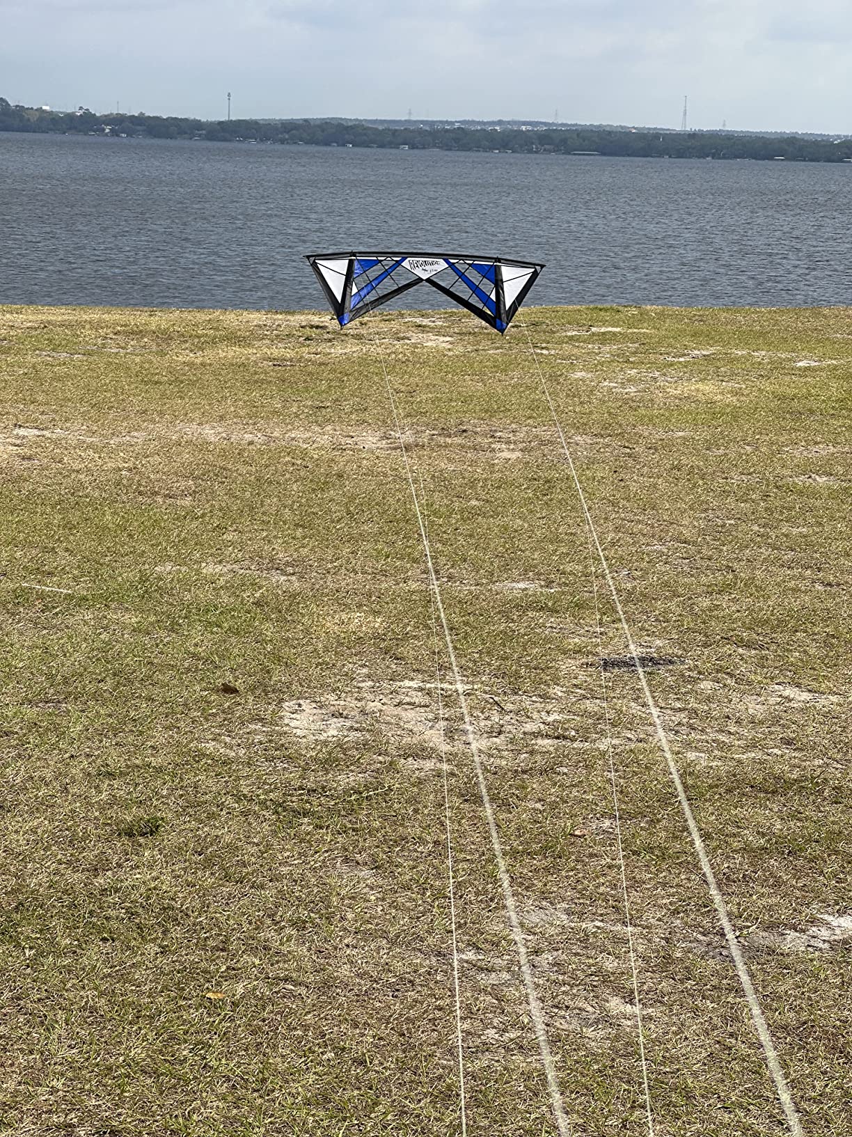 Revolution Kites Reflex RX Spider Kite (Vented Model) with Handles/Line Set customer photo 1