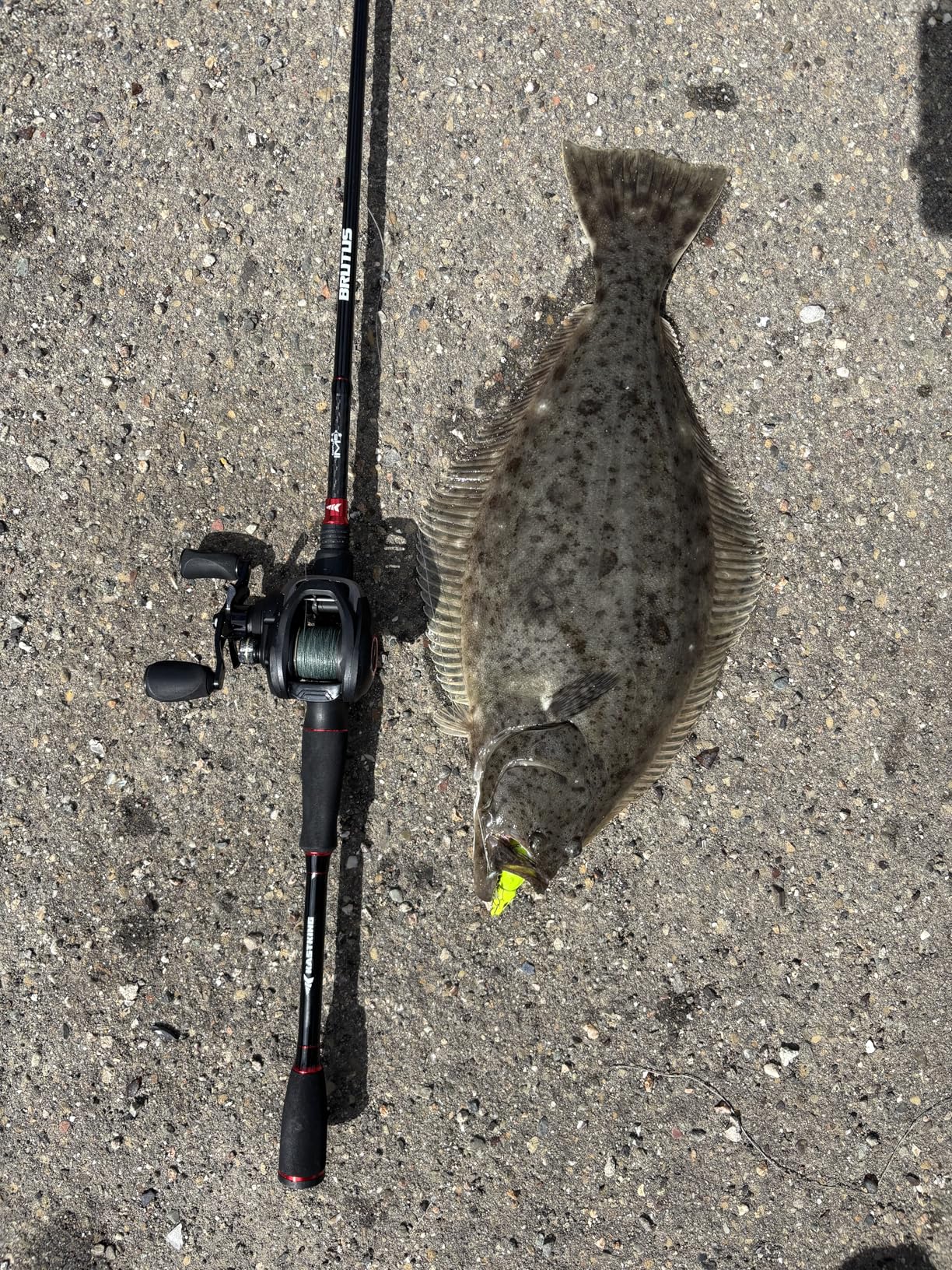 Berkley Fusion19 Swimbait Fishing Jigheads customer photo 1
