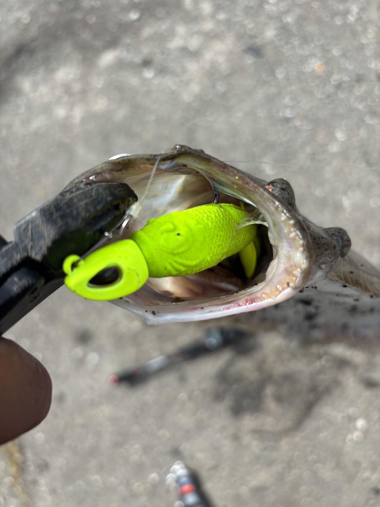 Berkley Fusion19 Swimbait Fishing Jigheads customer photo 2