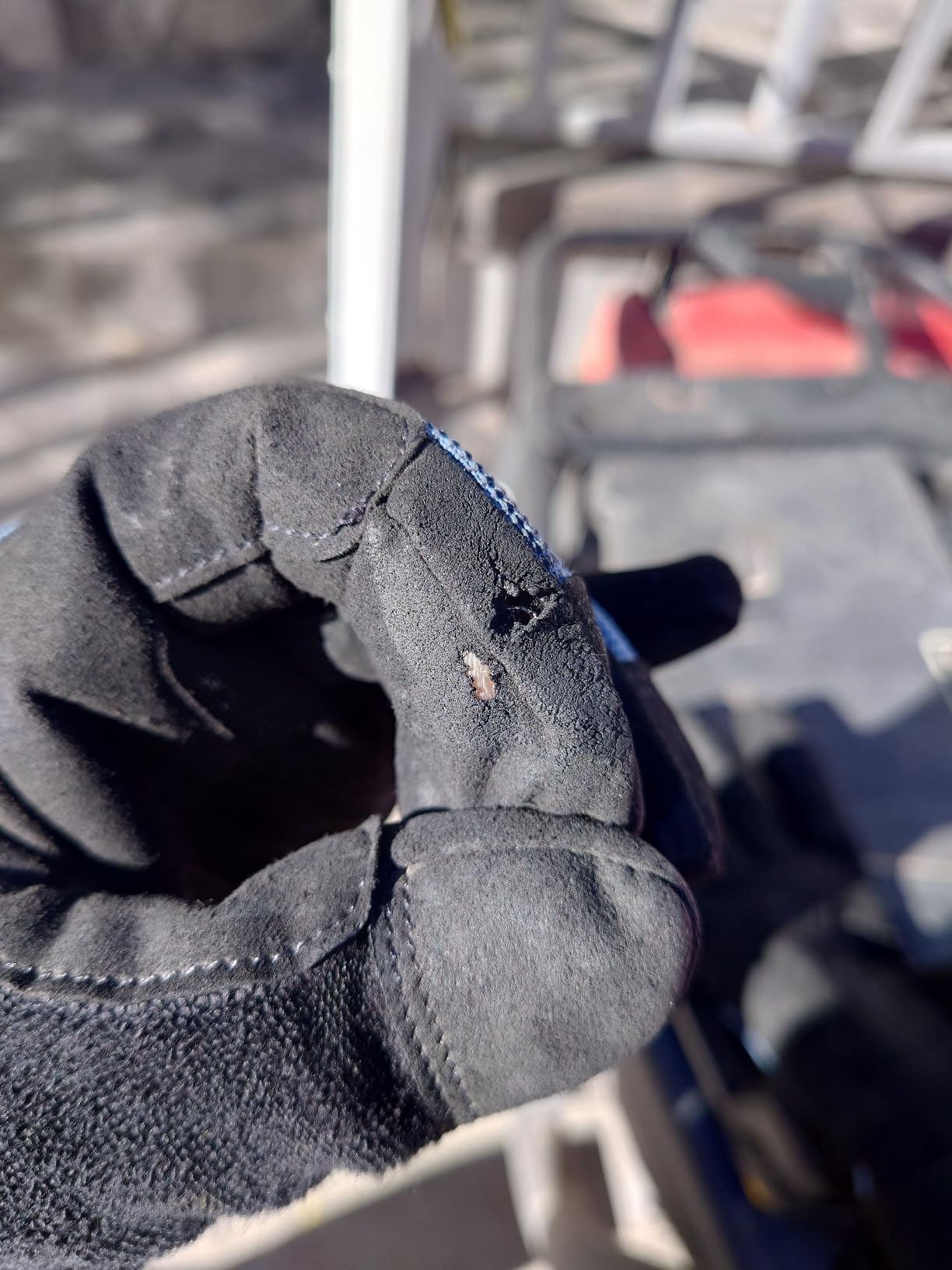 BLACK DIAMOND Men's Crag Gloves, Belaying/Via Ferrata, Leather, Breathable customer photo 1