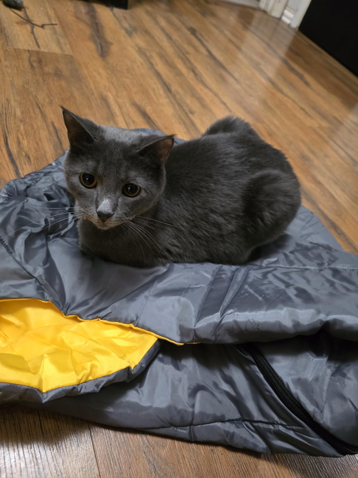 GEERTOP Dog Sleeping Bag Durable Packable Pet Sleeping Bed Comfortable Washable, Portable Pet Bed for Cats and Small Dogs customer photo 1