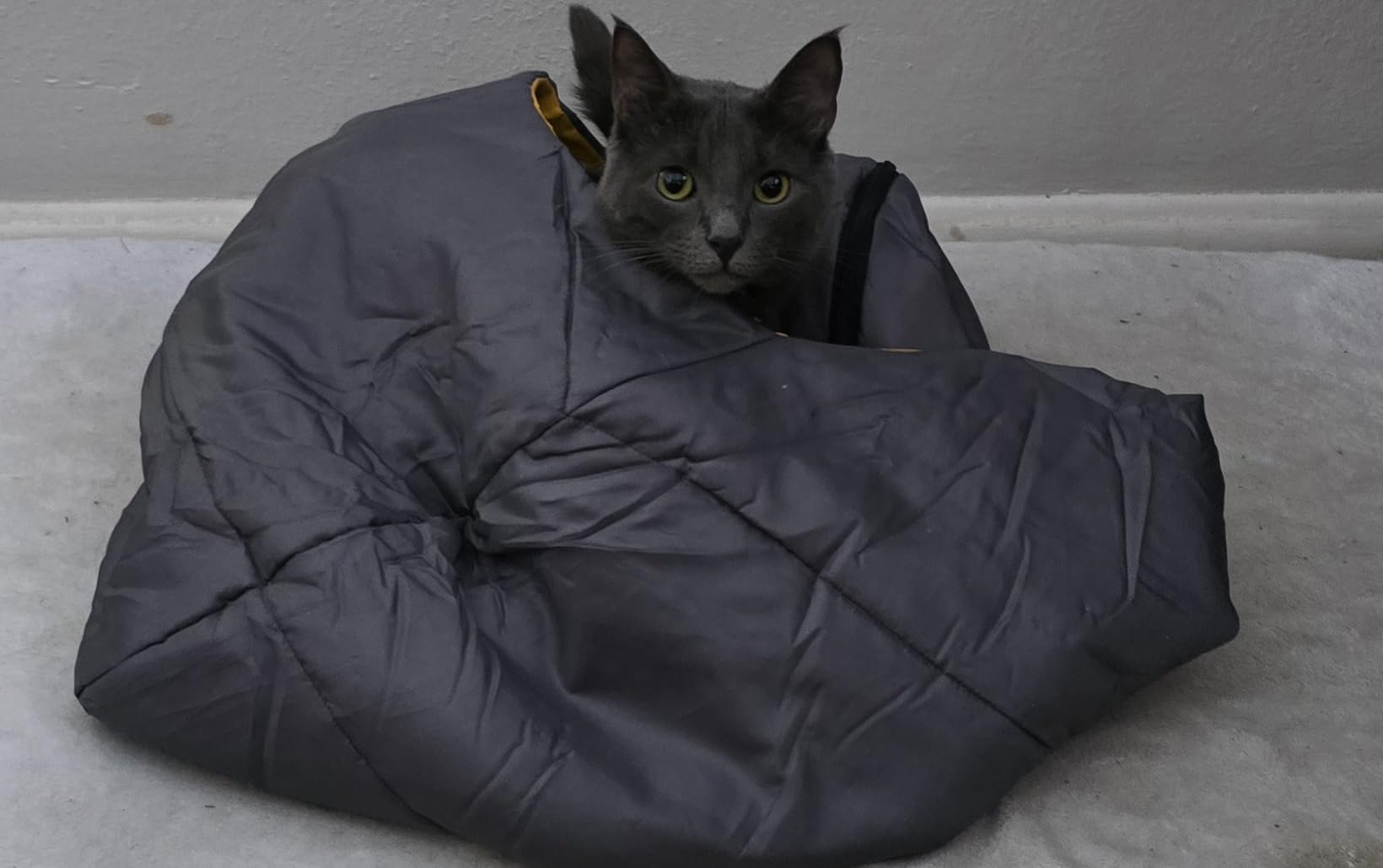 GEERTOP Dog Sleeping Bag Durable Packable Pet Sleeping Bed Comfortable Washable, Portable Pet Bed for Cats and Small Dogs customer photo 2