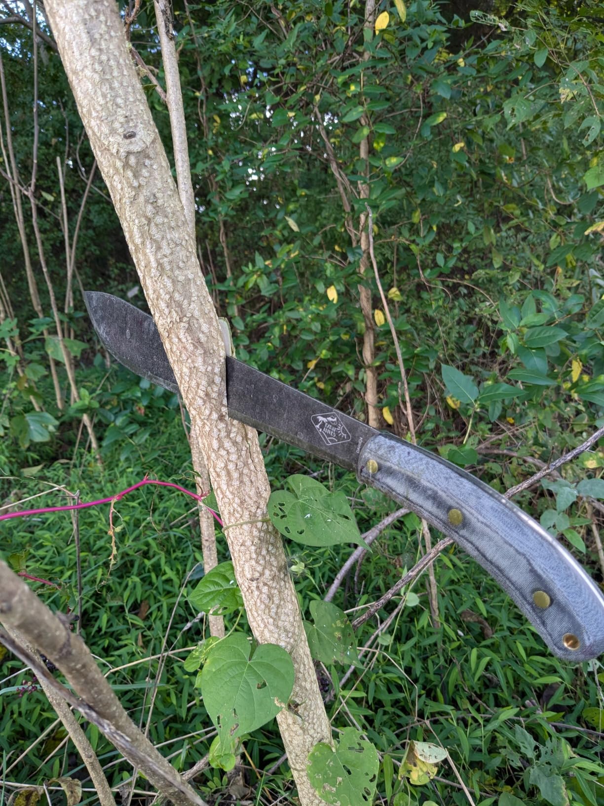 ESEE EXPAT Darien Machete with Nylon Sheath by ESEE Knives customer photo 1