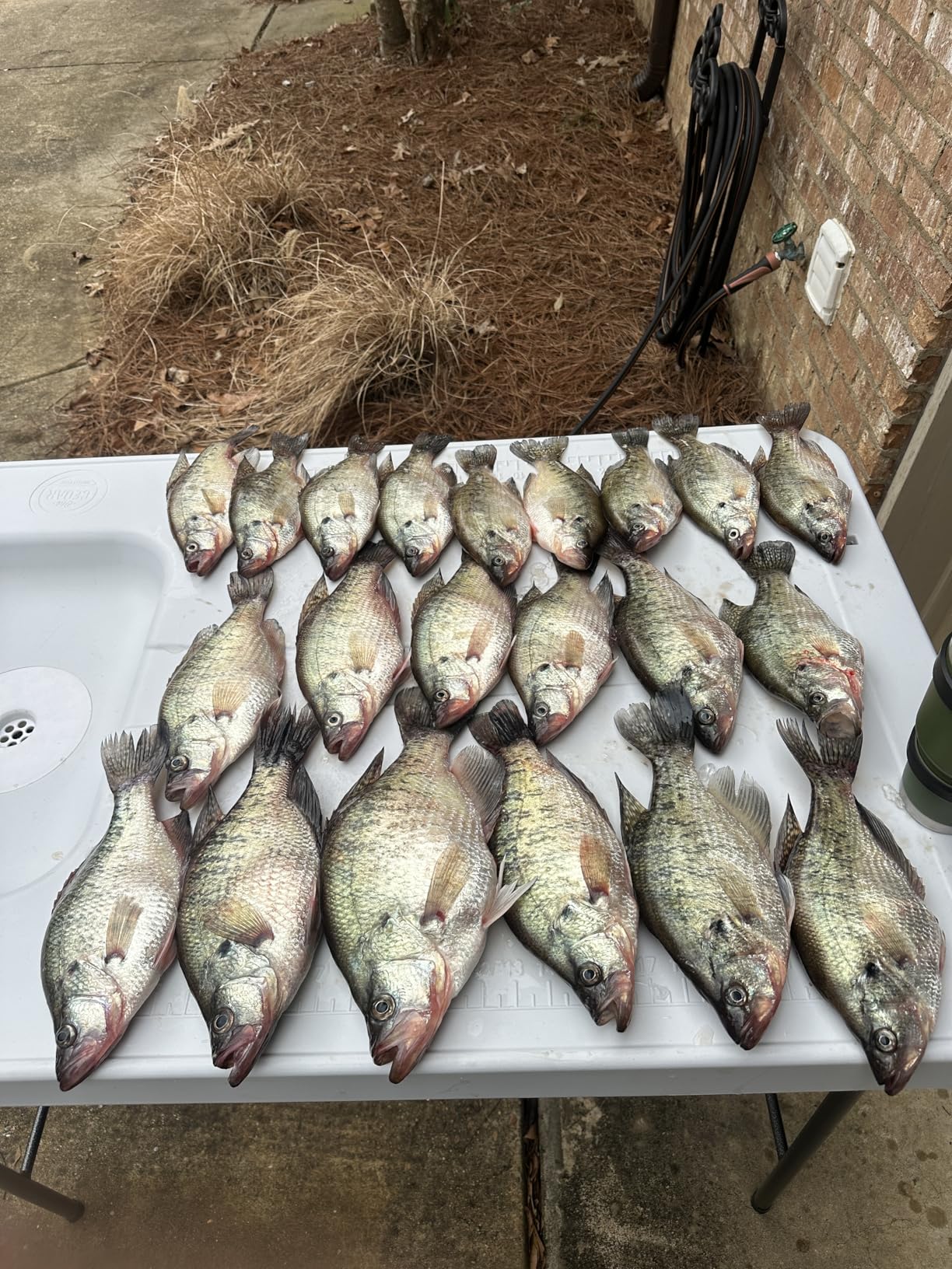 Premium, Extra-Large Fish and Game Cleaning Table with Sink and Folding Legs customer photo 2
