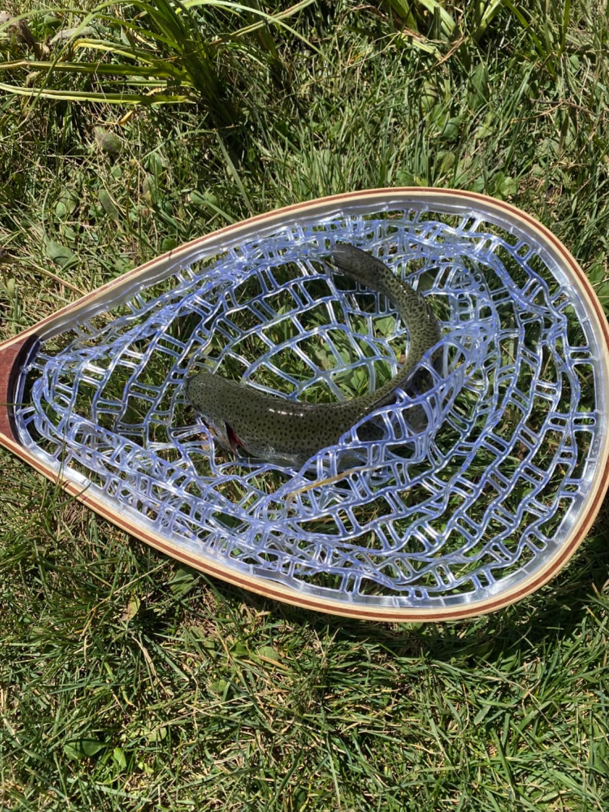 PLUSINNO Fly Fishing Net, Wooden Frame Fishing Landing Net with Magnetic Release, Soft Rubber Mesh Net for Trout Bass Catch and Release, Magnetic Fly Fishing Gear customer photo 2
