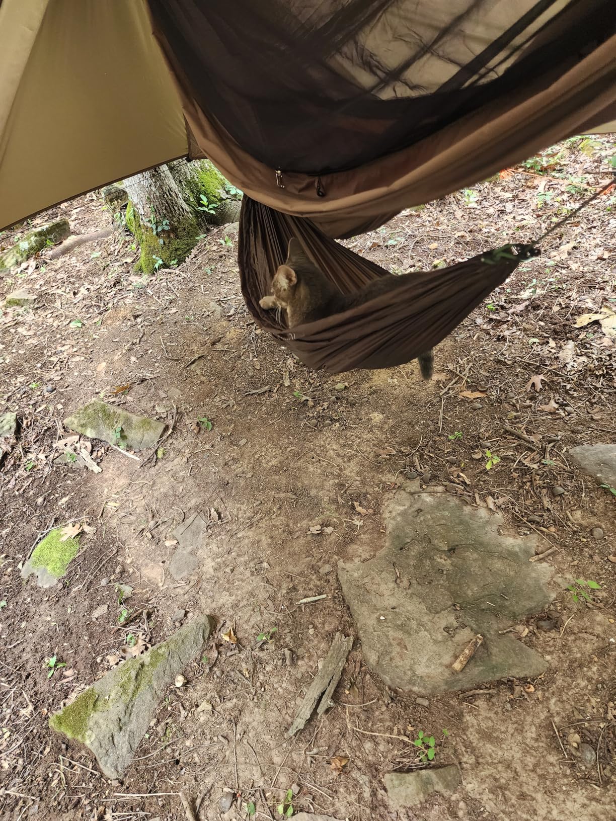 Onewind Versatile Hammock Gear Sling or Backpack Rain Cover | Ultralight Waterproof Underbelly Gear Storage 90L customer photo 1