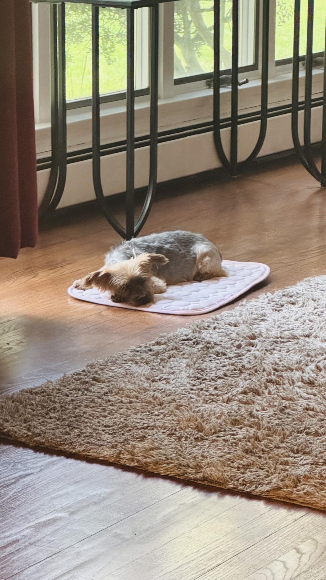 MICROCOSMOS Summer Cooling Mat & Sleeping Pad - Water Absorption Top, Materials Safe, Easy Carry, EZ Clean. Keep Cooling for Pets, Kids and Adults (Blue, 28