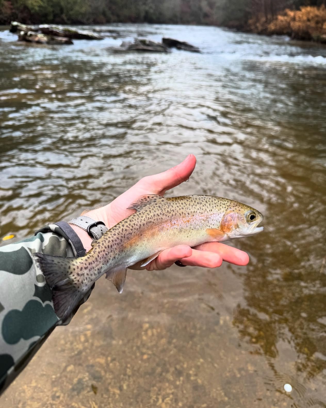 Maxcatch Competition InTouch Nymph Fly Rod for Euro nymphing Fly Fishing customer photo 1