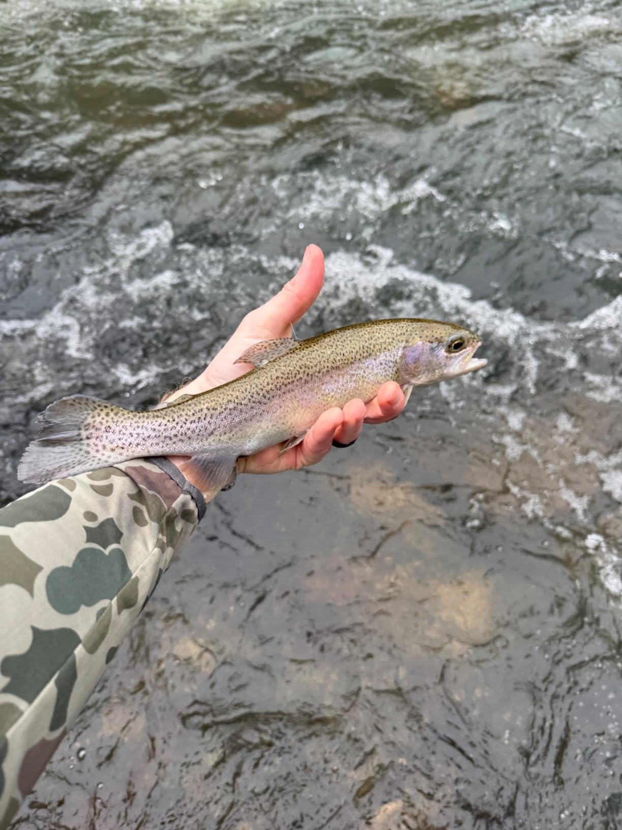 Maxcatch Competition InTouch Nymph Fly Rod for Euro nymphing Fly Fishing customer photo 2