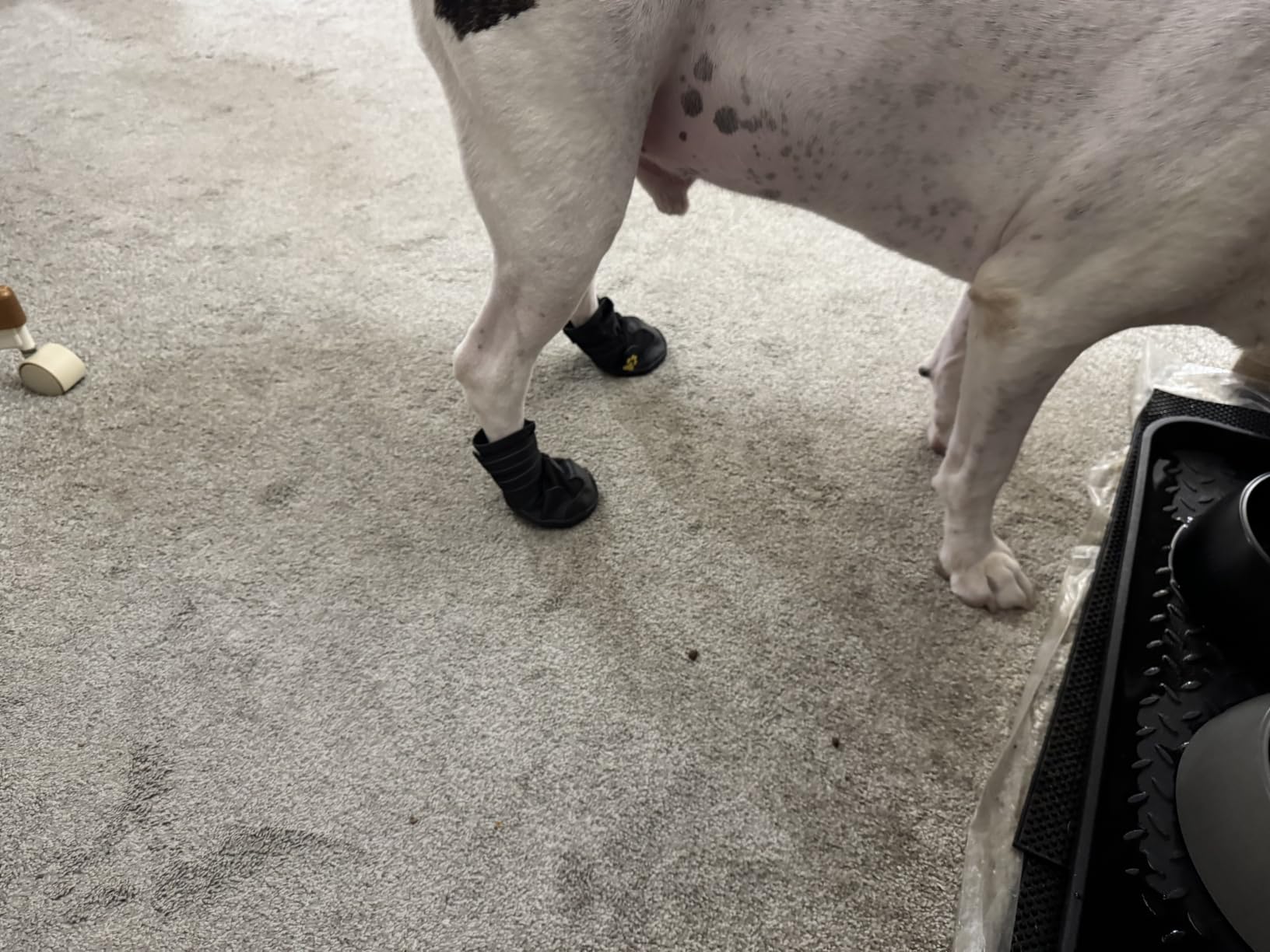 XSY&G Dog Boots, Waterproof Dog Shoes, Dog Booties with Reflective Rugged Anti-Slip Sole and Skid-Proof, Outdoor Dog Shoes for Medium to Large Dogs 4Pcs customer photo 1