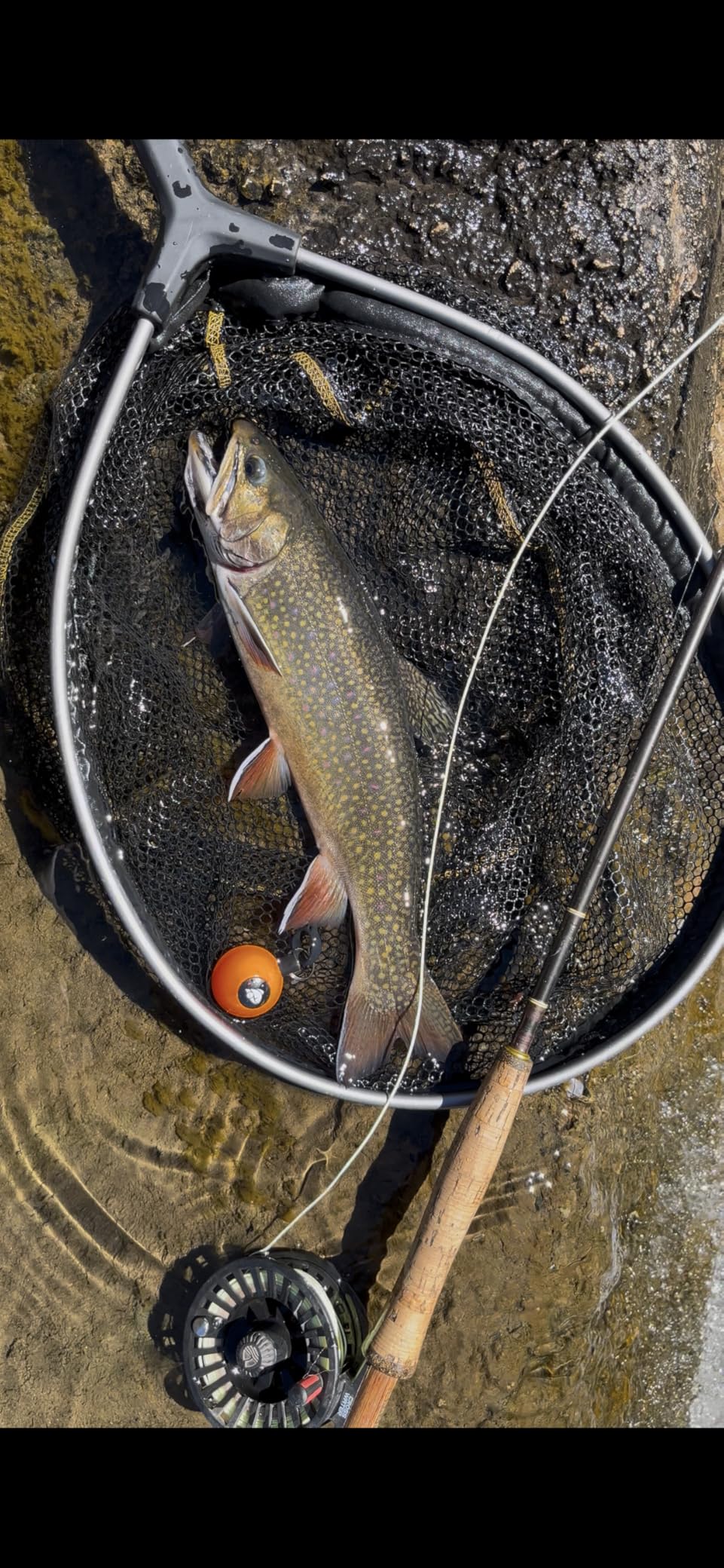Frabill Floating Trout Net customer photo 1