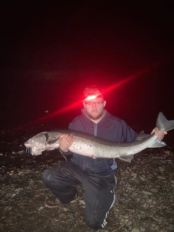 Championship Catfish Rod: 2 Piece, Medium Heavy Chop Stick, Sensitive Tip for Detecting Bites, Heavy Backbone for Hauling in Ugly Monsters, 10-50lb Line, 7'6