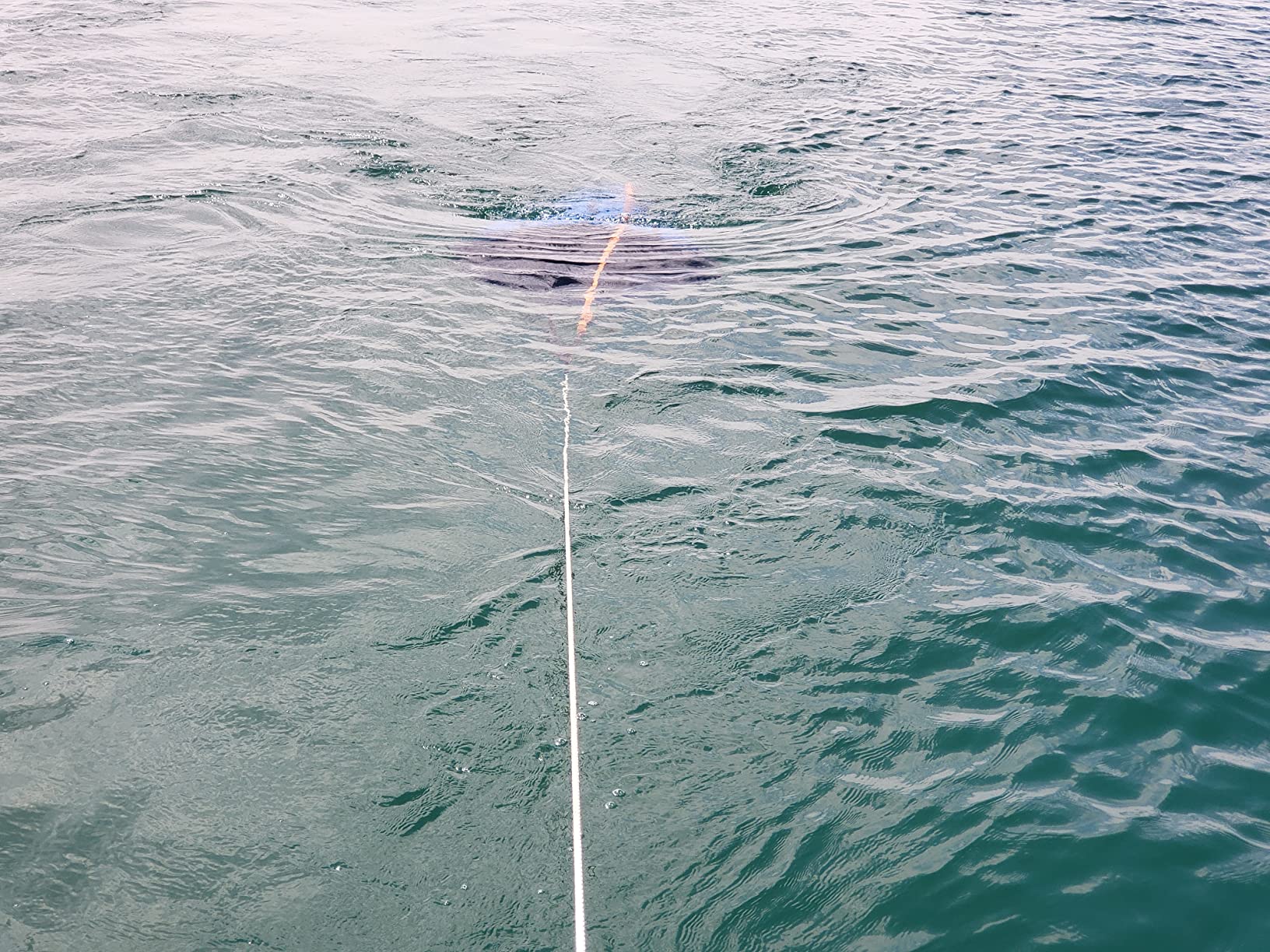 Drift Sock, All Size Ocean Anglers Fishing Drogue for Boat/Kayak/Pontoon (18in) customer photo 1